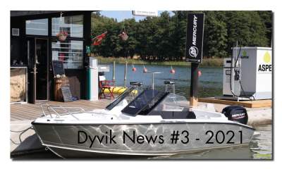 Dyvik News #3 2021
